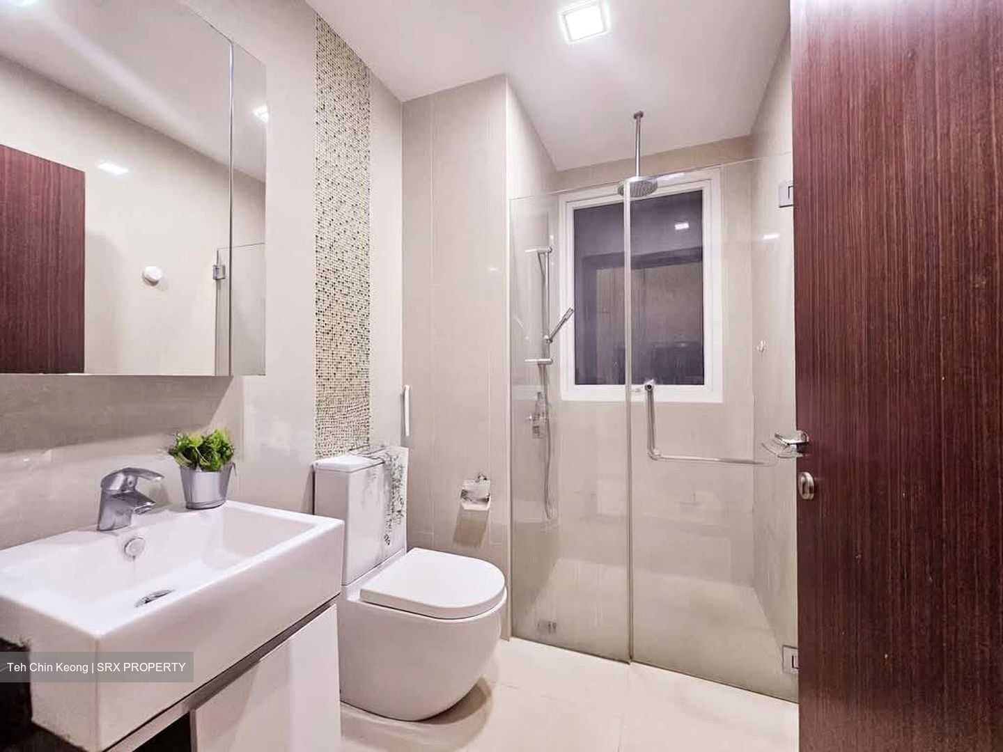8 Bassein (D11), Apartment #590284171